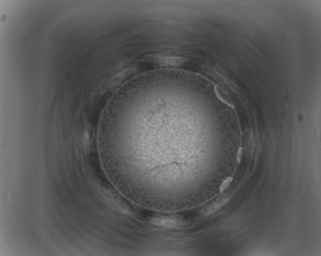 X0000086280655200704051336