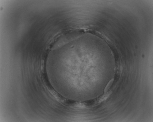 X0000086280656200704051336