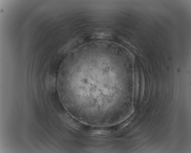 X0000086280657200704051336