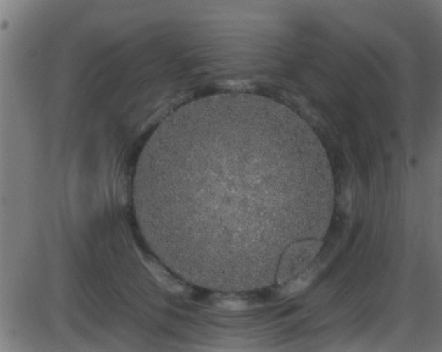 X0000086280658200704051336