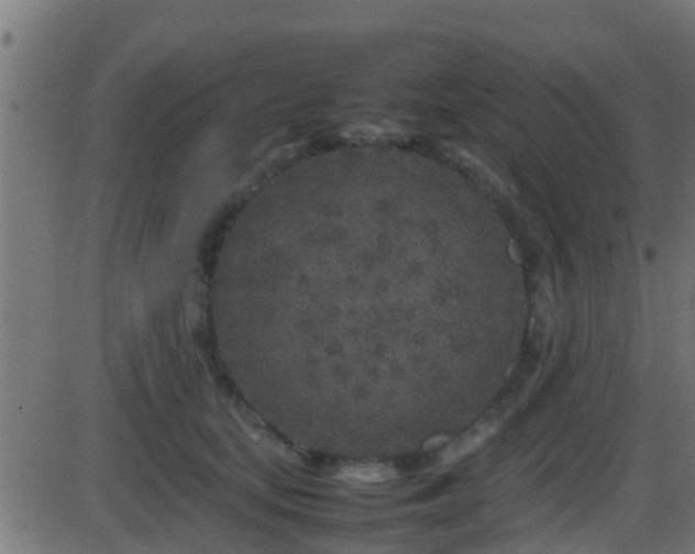 X0000086280659200704051336