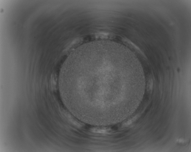 X0000086280661200704051336