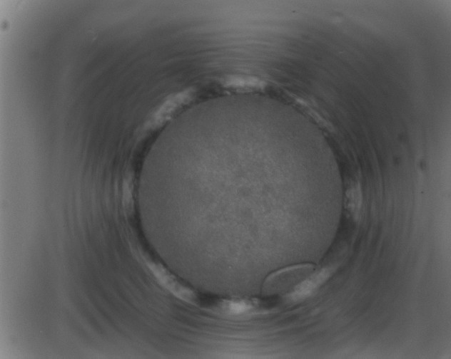 X0000086280662200704051336