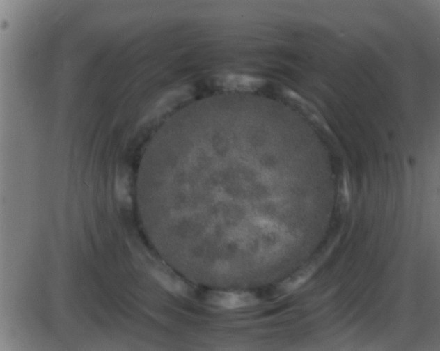 X0000086280663200704051336