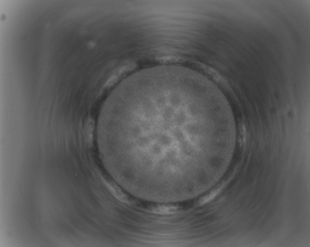 X0000086280664200704051336