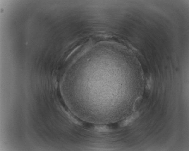 X0000086280666200704051336