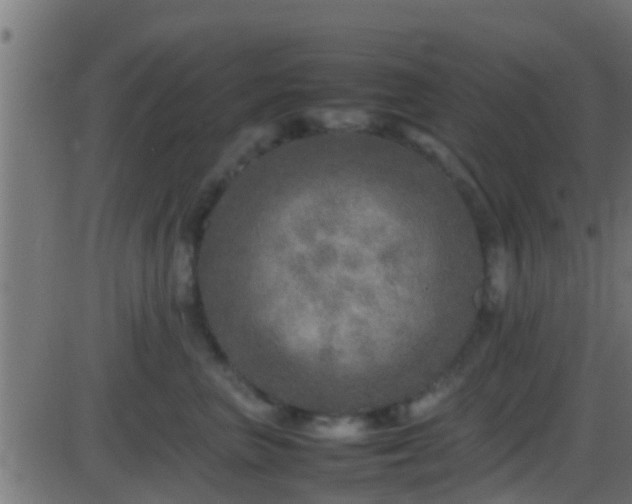 X0000086280667200704051336