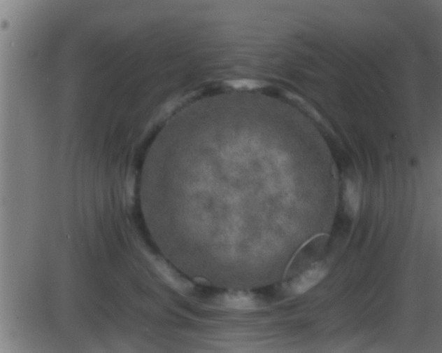 X0000086280668200704051336