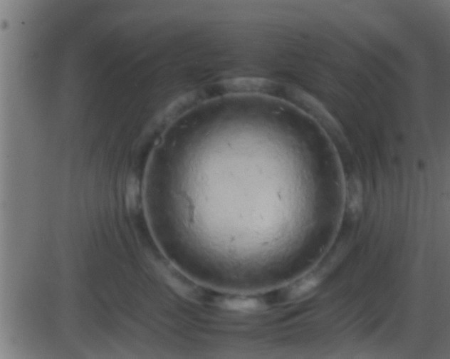 X0000086280669200704051336