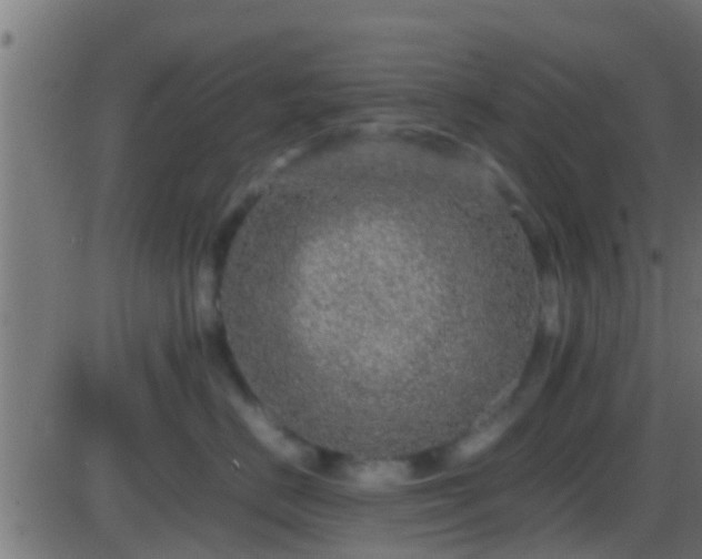 X0000086280670200704051336