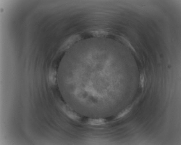 X0000086280671200704051336