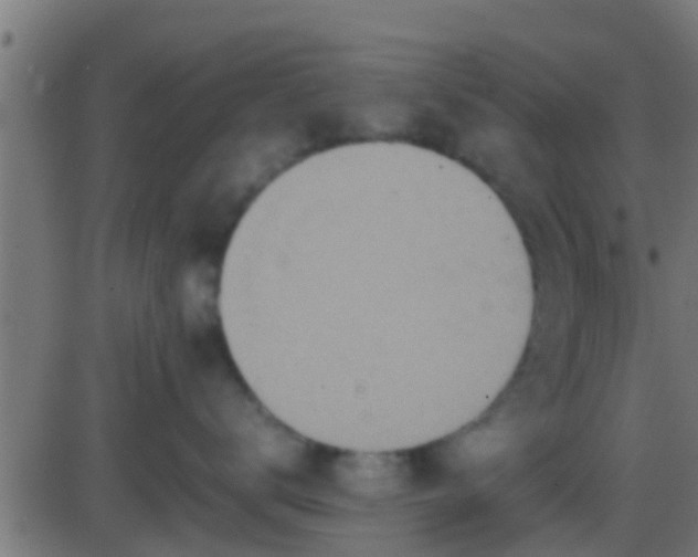 X0000086280672200704051336