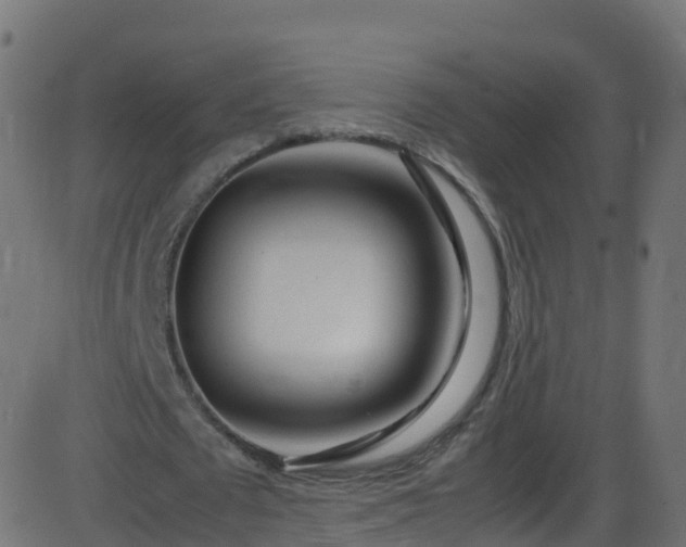 X0000086280673200704051336