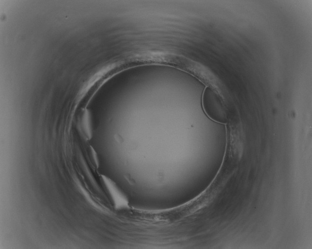 X0000086280674200704051336