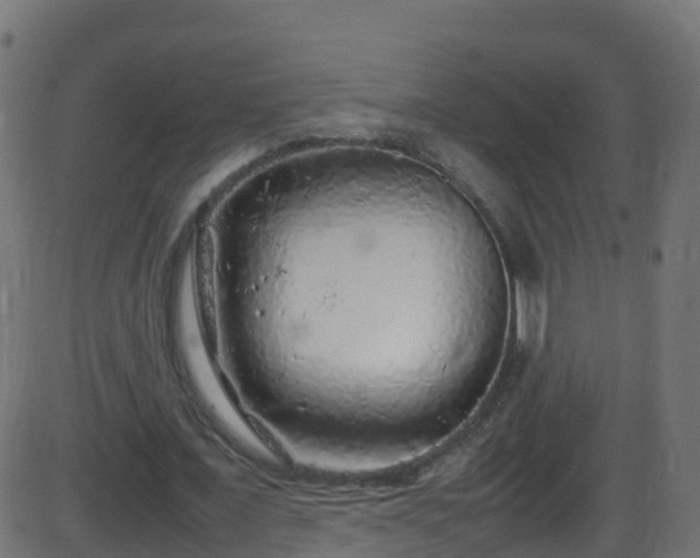 X0000086280675200704051335