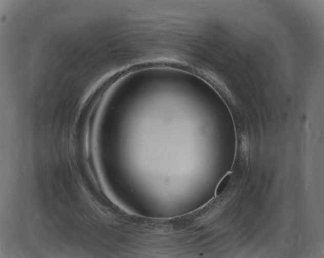 X0000086280676200704051335