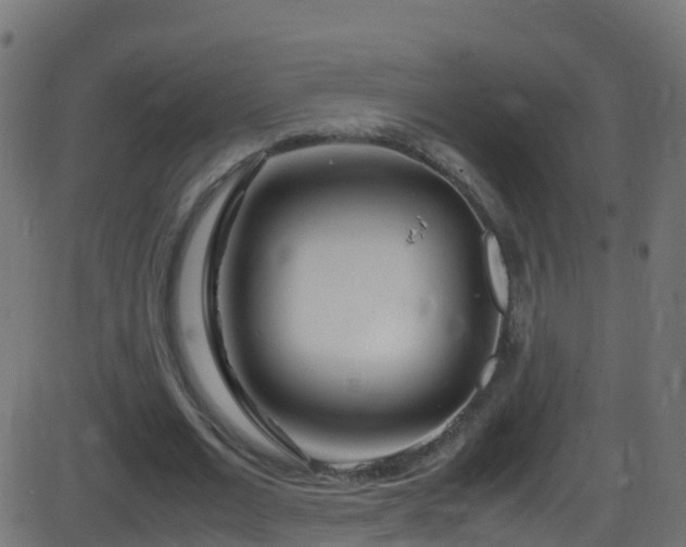 X0000086280677200704051335