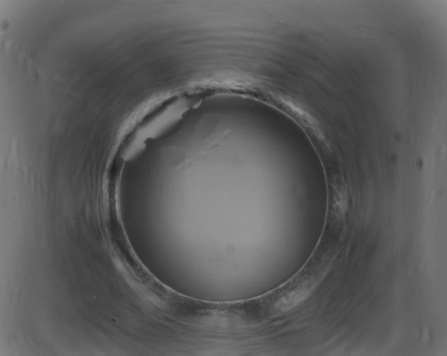 X0000086280678200704051335