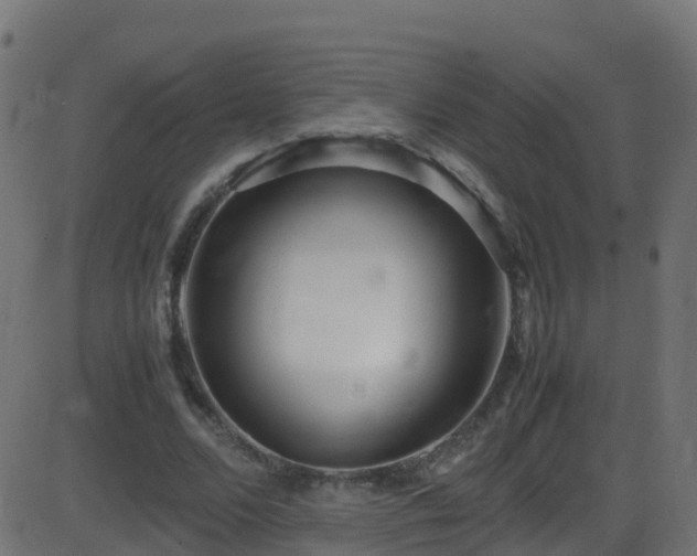 X0000086280680200704051335