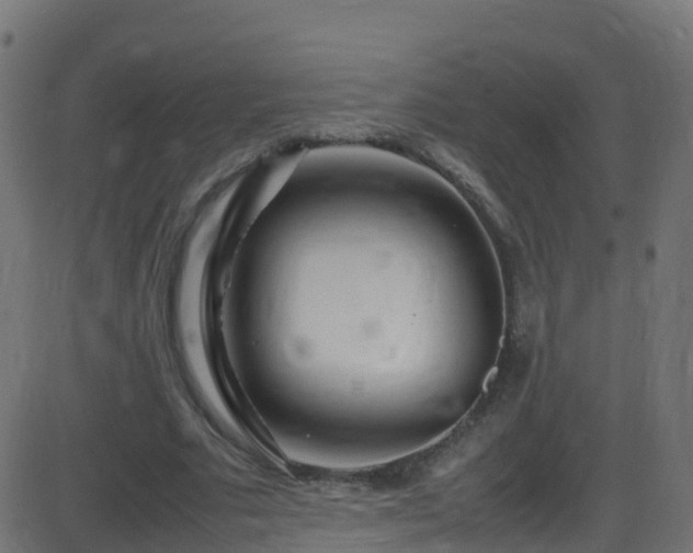 X0000086280681200704051335