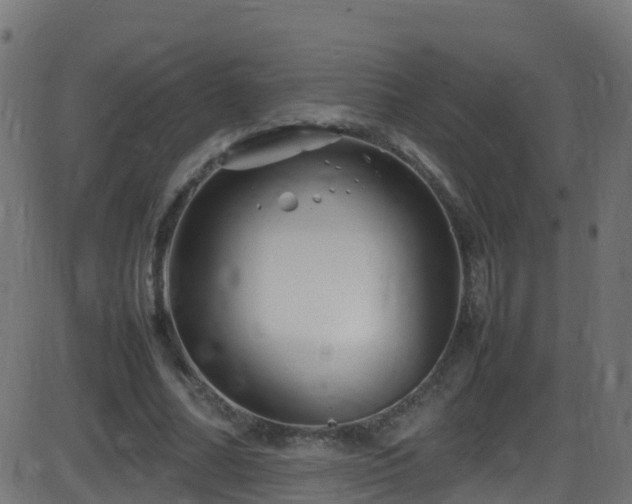 X0000086280682200704051335