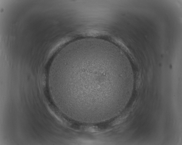 X0000086280683200704051335