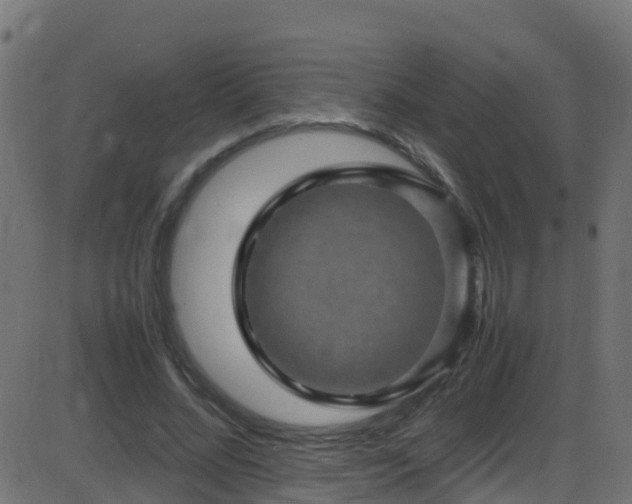 X0000086280684200704051335