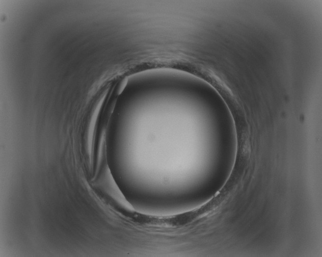 X0000086280685200704051335