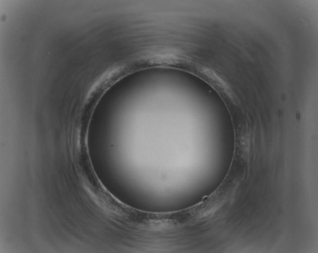 X0000086280686200704051335