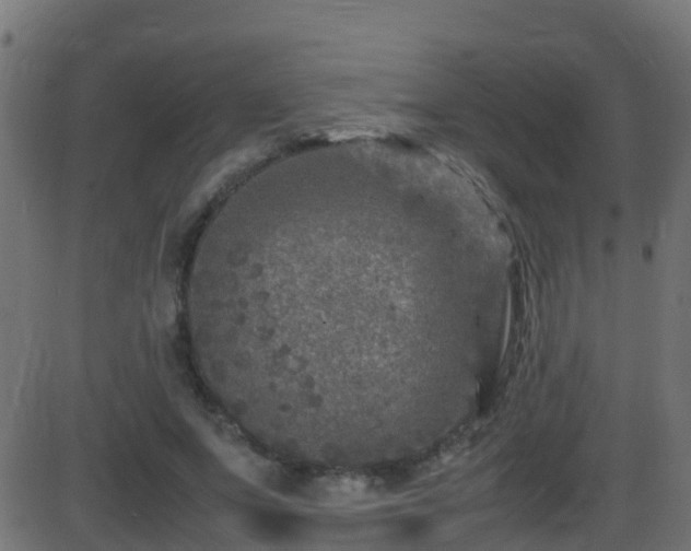 X0000086280687200704051335