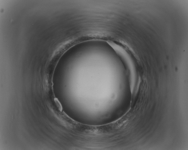 X0000086280688200704051335