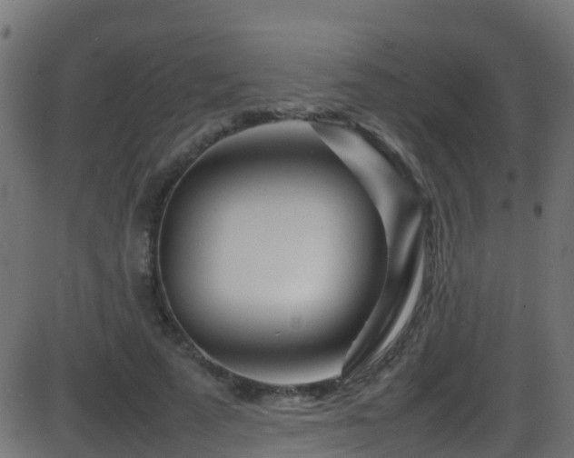 X0000086280689200704051335