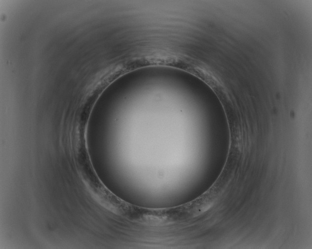 X0000086280690200704051335