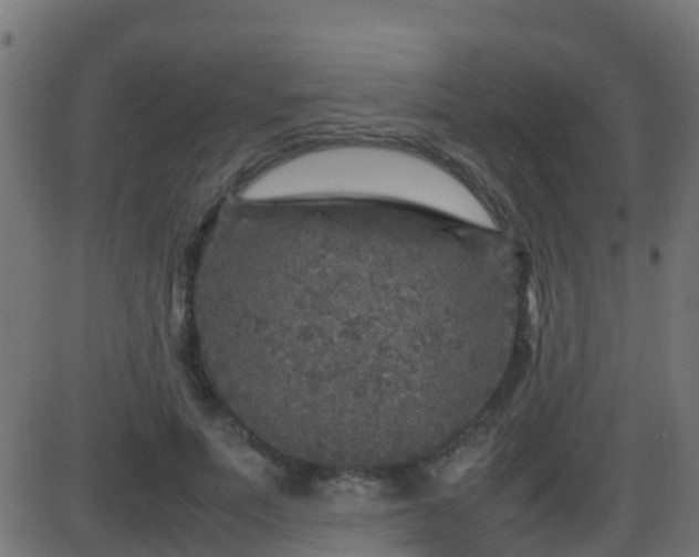 X0000086280691200704051335