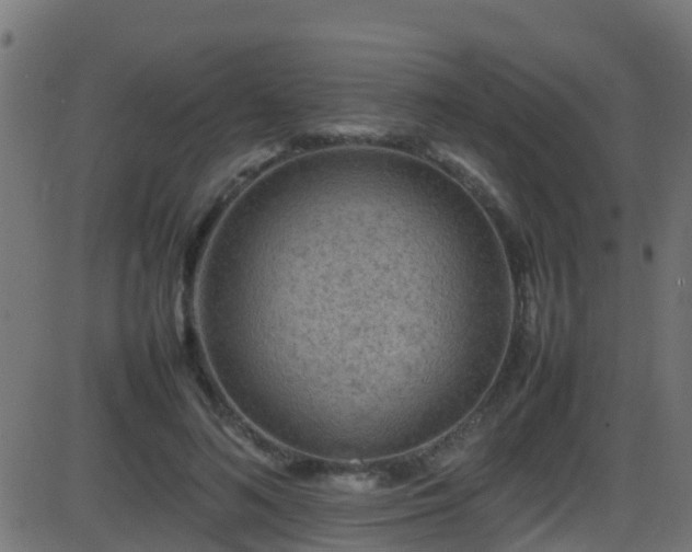 X0000086280692200704051335