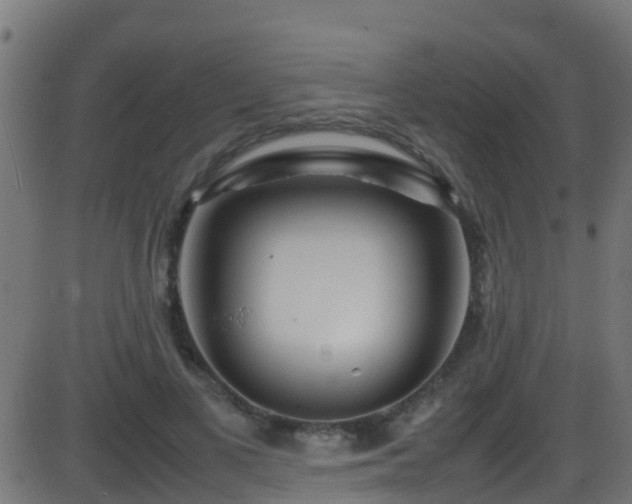 X0000086280693200704051335