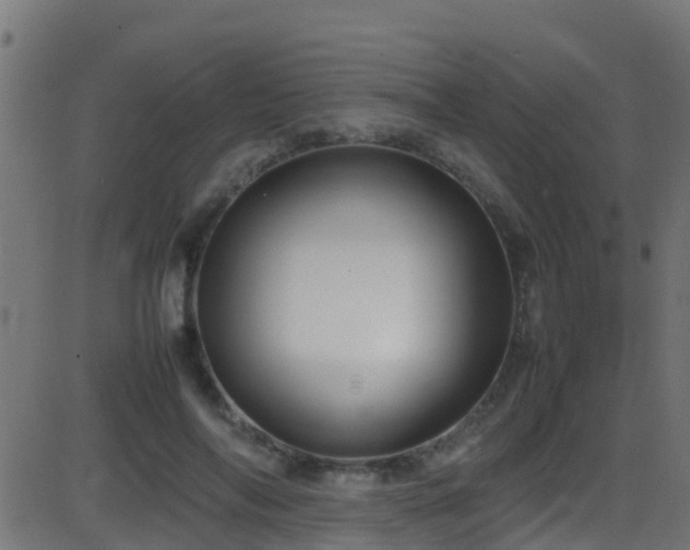 X0000086280694200704051335