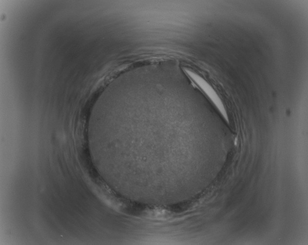 X0000086280695200704051335