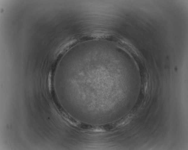 X0000086280696200704051335