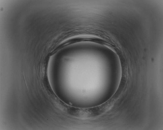 X0000086280697200704051335