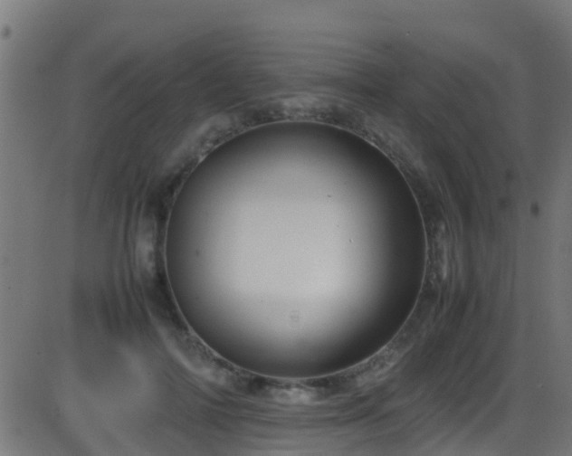 X0000086280698200704051335