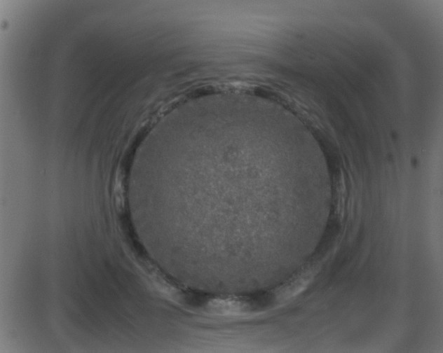 X0000086280699200704051335