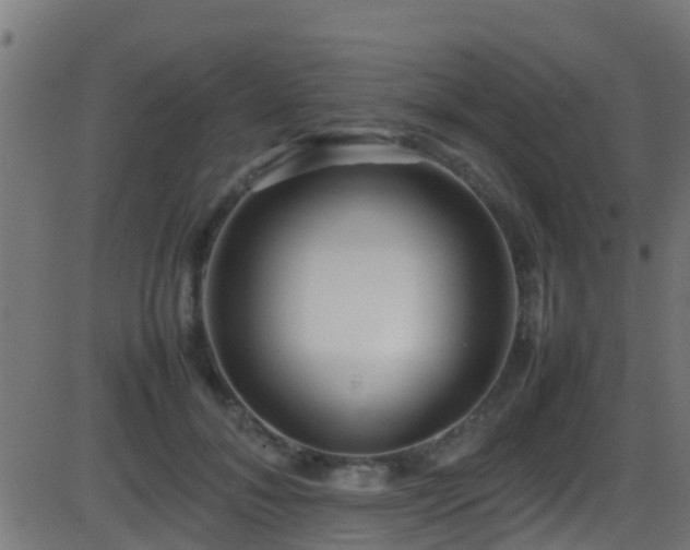 X0000086280700200704051335