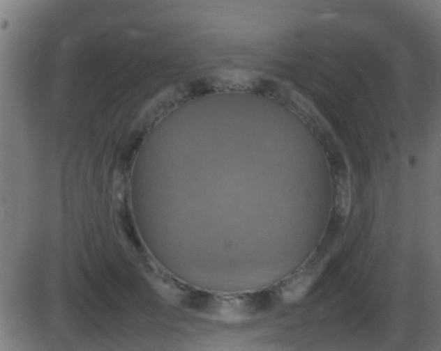 X0000086280701200704051335