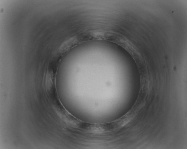 X0000086280702200704051335