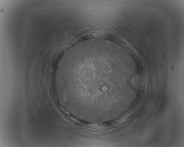 X0000086280703200704051335