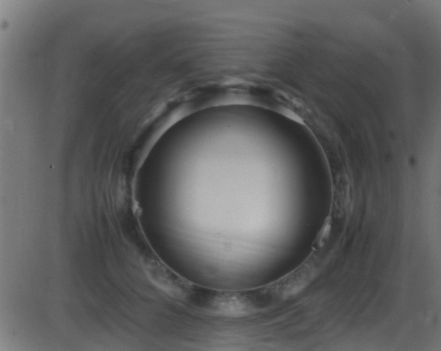 X0000086280704200704051335