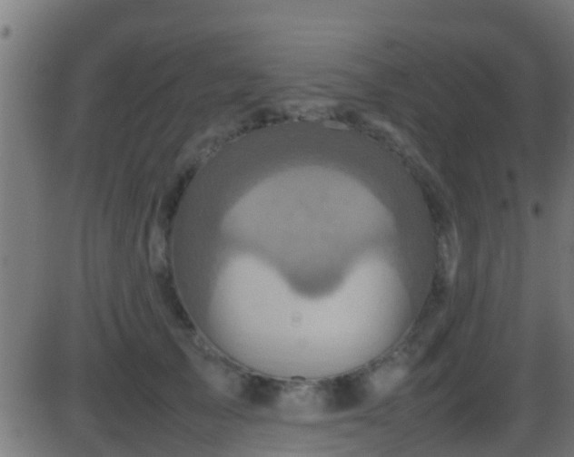 X0000086280705200704051335