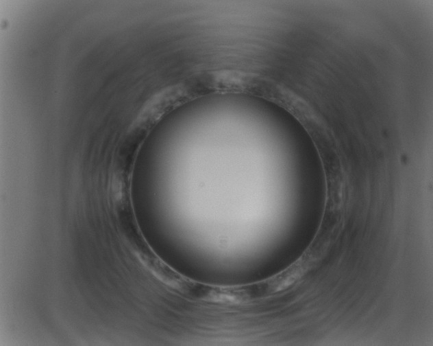 X0000086280706200704051335