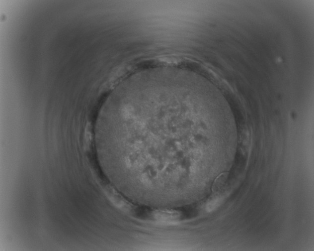 X0000086280707200704051335